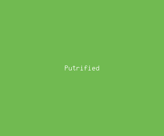 putrified meaning, definitions, synonyms