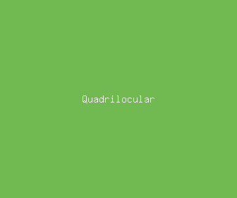 quadrilocular meaning, definitions, synonyms