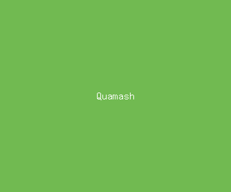 quamash meaning, definitions, synonyms