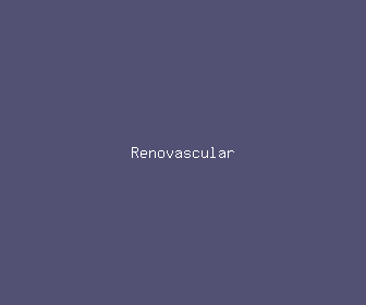 renovascular meaning, definitions, synonyms
