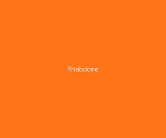 rhabdome meaning, definitions, synonyms