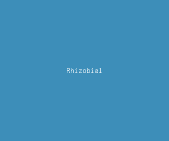 rhizobial meaning, definitions, synonyms