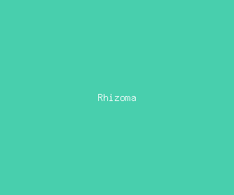 rhizoma meaning, definitions, synonyms