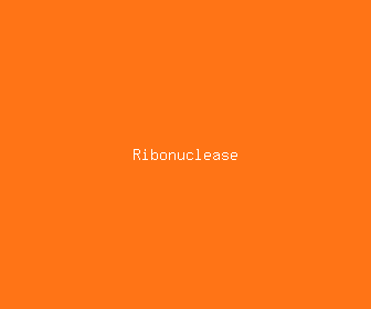 ribonuclease meaning, definitions, synonyms