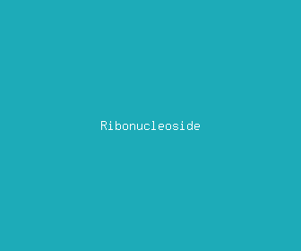 ribonucleoside meaning, definitions, synonyms