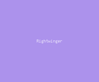 rightwinger meaning, definitions, synonyms