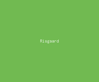 risgaard meaning, definitions, synonyms