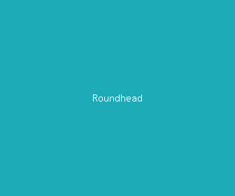roundhead meaning, definitions, synonyms
