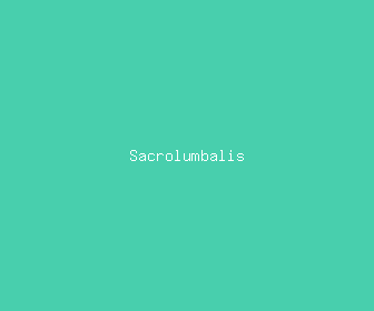 sacrolumbalis meaning, definitions, synonyms