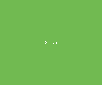 saiva meaning, definitions, synonyms
