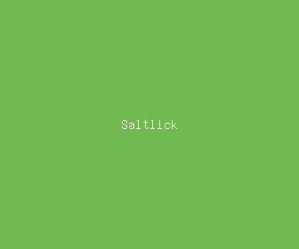 saltlick meaning, definitions, synonyms