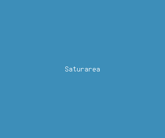 saturarea meaning, definitions, synonyms