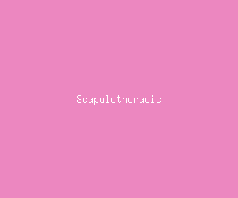 scapulothoracic meaning, definitions, synonyms
