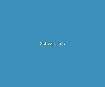 schvartzes meaning, definitions, synonyms