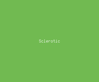 sclerotic meaning, definitions, synonyms
