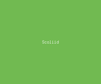 scoliid meaning, definitions, synonyms