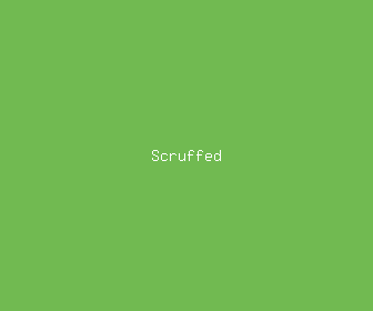 scruffed meaning, definitions, synonyms