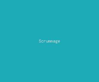 scrummage meaning, definitions, synonyms