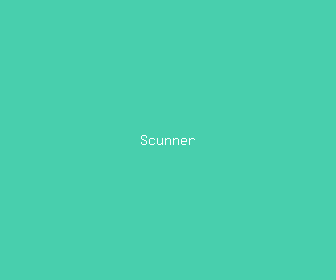scunner meaning, definitions, synonyms