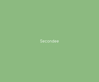 secondee meaning, definitions, synonyms
