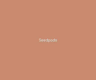seedpods meaning, definitions, synonyms