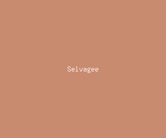 selvagee meaning, definitions, synonyms