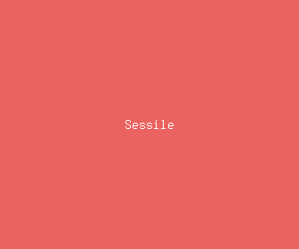 sessile meaning, definitions, synonyms