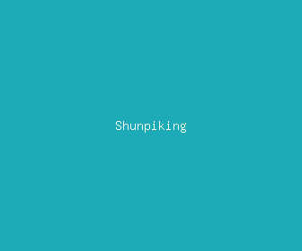 shunpiking meaning, definitions, synonyms
