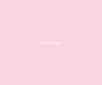 sialidae meaning, definitions, synonyms