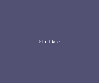 sialidase meaning, definitions, synonyms