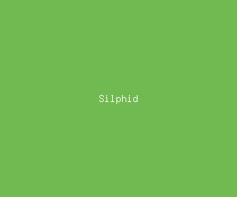 silphid meaning, definitions, synonyms