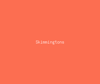 skimmingtons meaning, definitions, synonyms