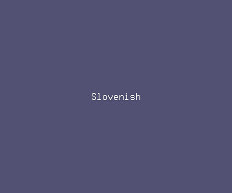 slovenish meaning, definitions, synonyms