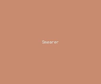 smearer meaning, definitions, synonyms