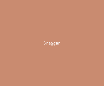 snagger meaning, definitions, synonyms