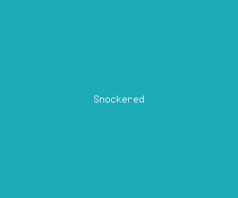 snockered meaning, definitions, synonyms