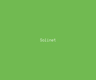 solinet meaning, definitions, synonyms