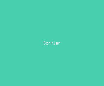 sorrier meaning, definitions, synonyms