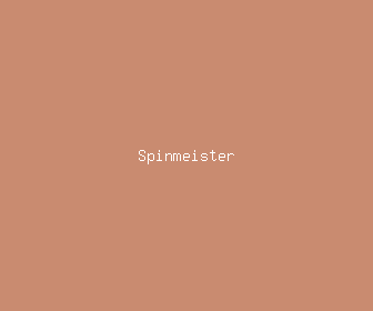 spinmeister meaning, definitions, synonyms