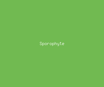 sporophyte meaning, definitions, synonyms