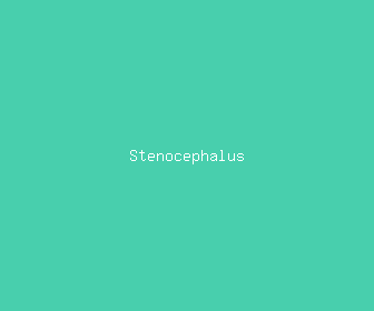 stenocephalus meaning, definitions, synonyms