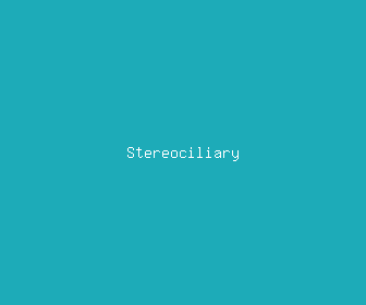 stereociliary meaning, definitions, synonyms