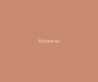 stinkeroo meaning, definitions, synonyms