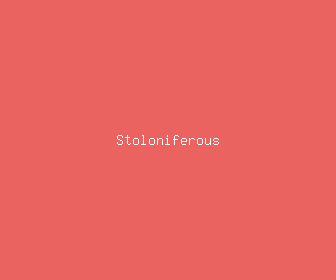 stoloniferous meaning, definitions, synonyms