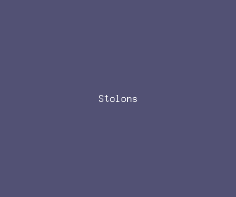 stolons meaning, definitions, synonyms