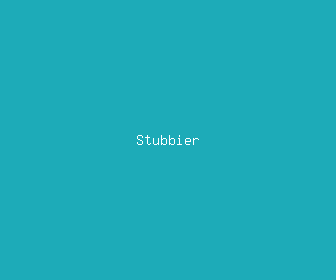 stubbier meaning, definitions, synonyms