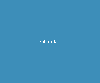 subaortic meaning, definitions, synonyms