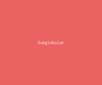subglobular meaning, definitions, synonyms