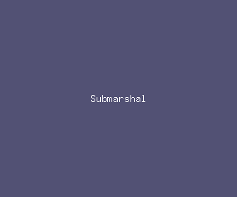 submarshal meaning, definitions, synonyms