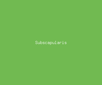 subscapularis meaning, definitions, synonyms